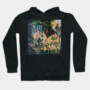 Spirit world Fairies Hoodie